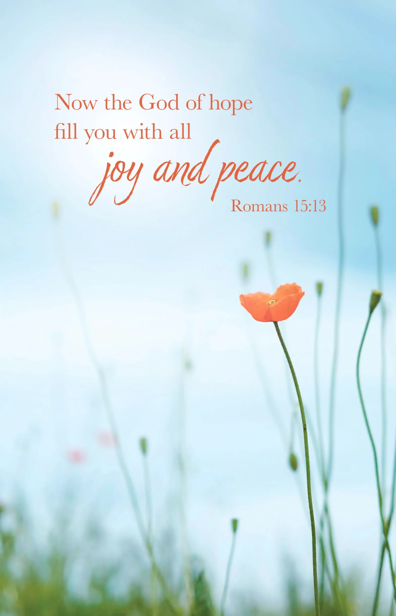 Broadman Worship Bulletin: All Joy (Romans 15:13), 100 Pack